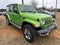 2019 Jeep Wrangler Unlimited Sahara 4x4
